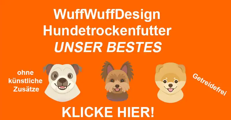 Gesundes Hundetrockenfutter für deinen Vierbeiner