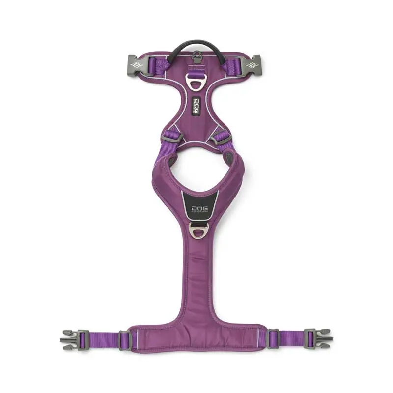 Comfort-Walk-Pro-Hundegeschirr Purple-Passion