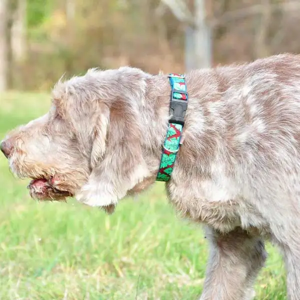 Hundehalsband Exklusiv African Safari von WuffWuffDesign – farbenfrohes, umweltfreundliches Halsband aus Baumwolle mit sicherem Metall-D-Ring und Kunststoffschließe.