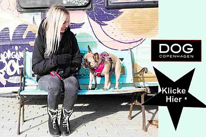 Dog Copenhagen Hundegeschirr, Hundehalsband und Leinen 