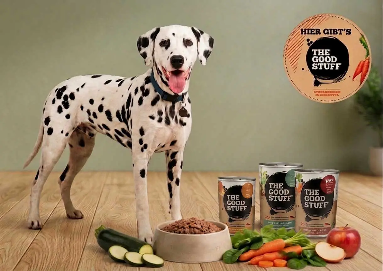 Dalmatiner mit THE GOODSTUFF Hundenassfutter, Futternapf und frischen Zutaten
