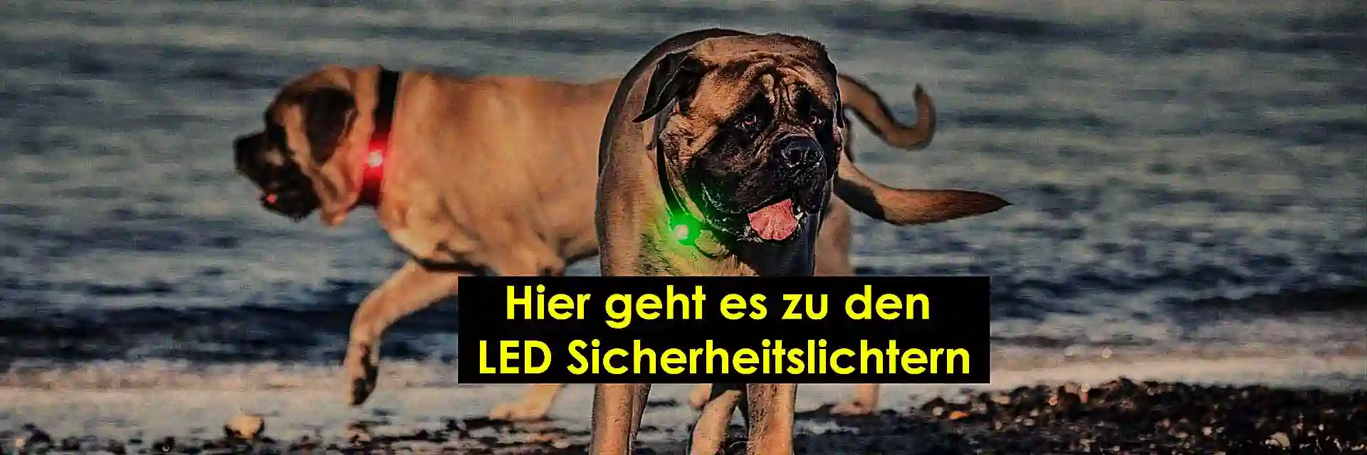 Orbiloc LED Hundesicherheitslicht