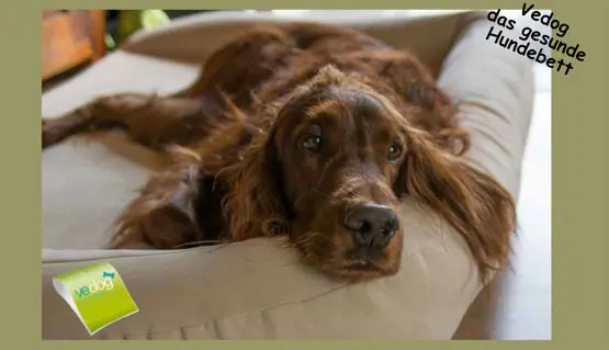 Vedog orthopädisches Hundebett für mehr Komfort