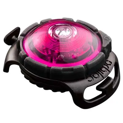Orbiloc Dog Dual Sicherheitslicht in Pink – Detailaufnahme