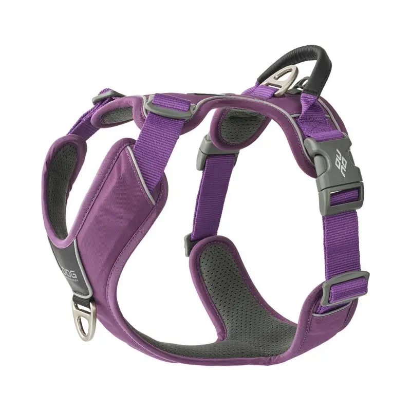 Comfort-Walk-Pro-Hundegeschirr Purple-Passion