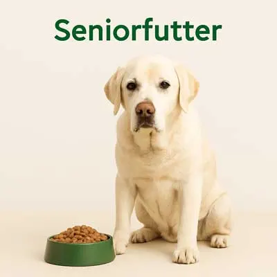 Seniorfutter Hund