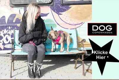 Dog Copenhagen Hundegeschiire, Hundleinen und Hanlsbänder der Extraklasse