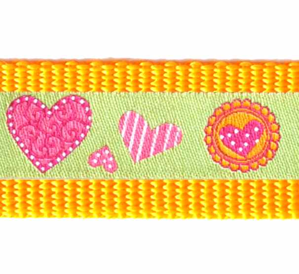 Hundehalsband Maisgelb mit verschiedenen Borten 25 mm Bandbreite