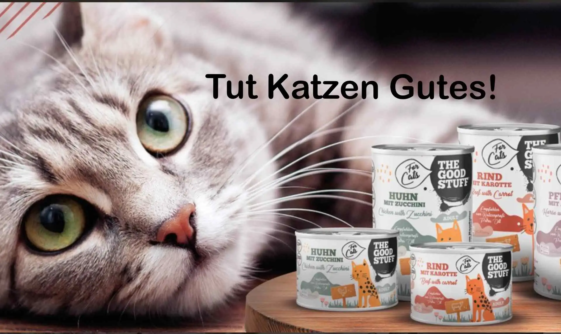 The Good Stuff Katzen Nassfutter, schmackhafte und nährstoffreiche Mahlzeiten für eine gesunde Katzenernährung