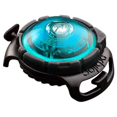 Orbiloc Safety Light Türkis – LED Sicherheitslicht für Hunde